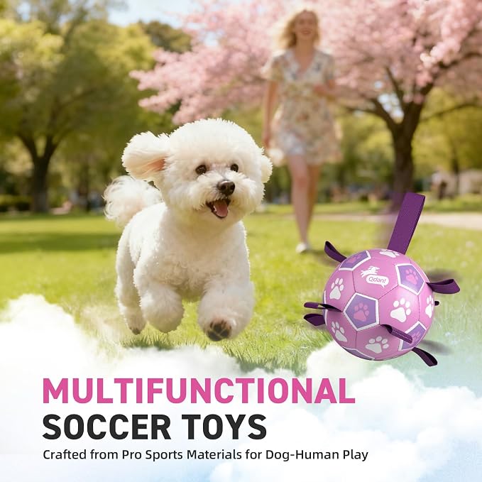 QDAN Dog Toys, Durable Dog Soccer Ball with Straps to Keep Them Busy,6 Inch