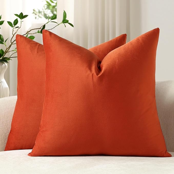 Throw Pillow Covers 20x20 Burnt Orange: Pack of 2 Cozy Soft Velvet Square Modern Luxury Decorative Throw Pillow Cases for Sofa Couch Living Room Bed Home Decor