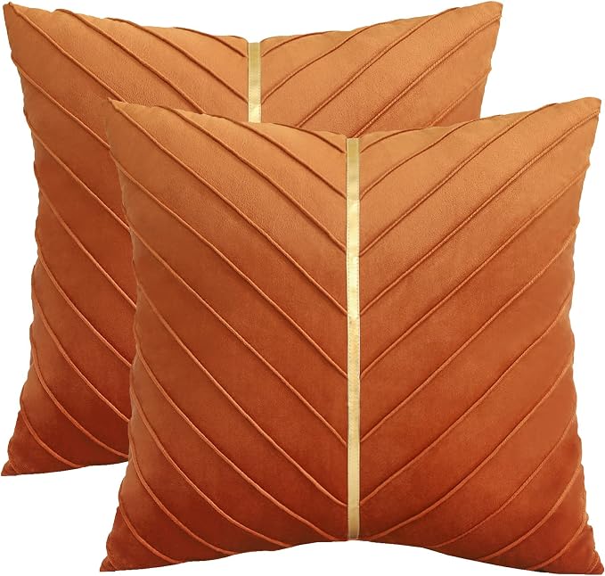 Velvet Throw Pillow Covers 24x24 Pack of 2 Gold Decor Burnt Orange | Soft Solid Pillow Covers,Modern Luxury Home Decor,Halloween Fall Decor,Hidden Zipper,Ideal Gift,Easy Care