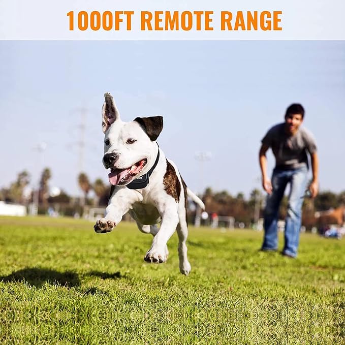 Petrainer Dog Training Collar with Remote - Bark Collar, Beep Vibration, Static Electric, 1000FT Range