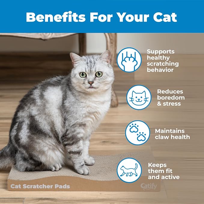 Best Pet Supplies Catify Cat Scratcher Pads - Wave, 2-Pack | Corrugated Cardboard, Double Sided Cat Scratching Pad, Indoor Furniture Protector, Durable, For Kittens and Cats,