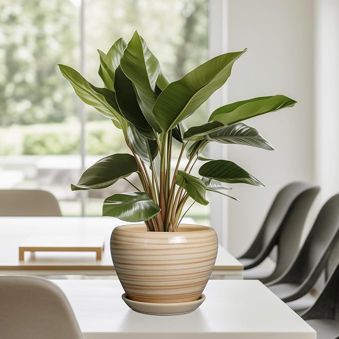 Ceramicfor 6 Inch Plant Pot Ceramic - Decorative Planter for Indoor Plants Succulent Pot with Drainage Hole and Saucer Round Planter Outdoor Flower Pot for House Patio Yellow
