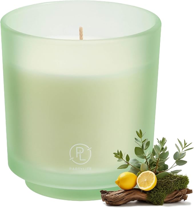PartyLite Seagrass Eucalyptus Scented, Notes of Eucalyptus, Lemon, Seagrass & Driftwood, 10oz 1-Wick Aromatherapy Refillable Jar Candle, 50 Hour Burn Time, Sustainable Wax, Reusable Jar