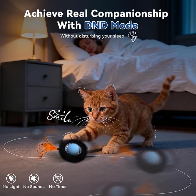 Interactive Cat Toy for Indoor Cats, Motion Activated Ball &7-Hole Maze Mat | Hide and Seek Exercise Game for Indoor Cats, Automatic Moving Cat Ball in Pouch, Rechargeable Kitten Toys (Starry Night)