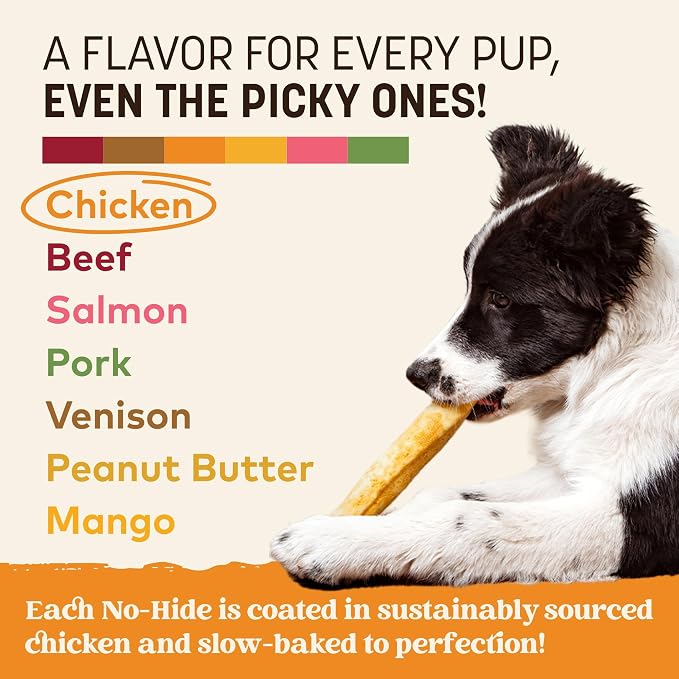 Earth Animal No Hide Dog Chews - Rawhide Free Medium Rolls 6 Count Chicken | Medium Chicken Flavored Natural Rawhide Free Long Lasting Dog Chews - Treats for Medium Dogs and Aggressive Chewers