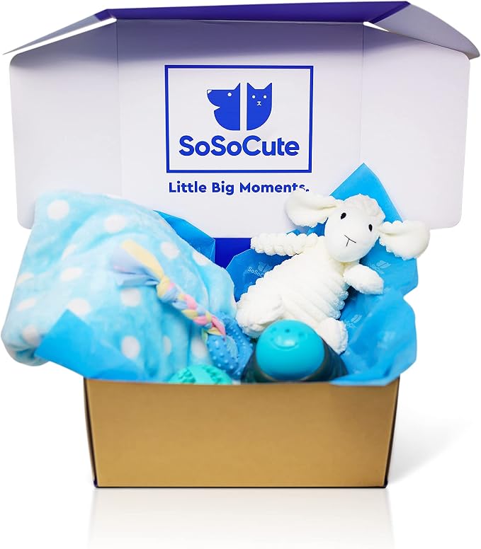 Puppy Starter Kit – 5pc Dog Toy Gift Set for Small Dogs – New Puppy Essentials Gift Box with Blanket, Squeaky Plush, Teething Ring, Treat Ball & Chew Ball (Blue)