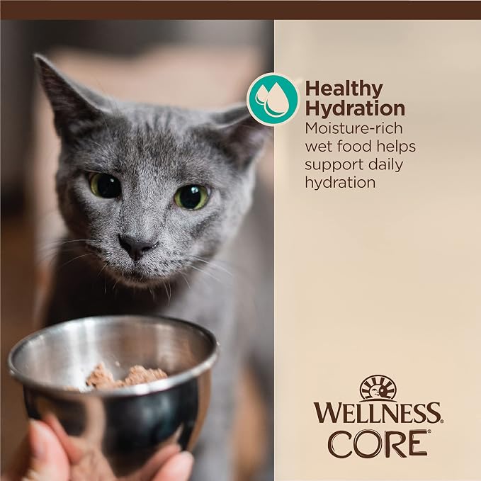 Wellness CORE Tiny Tasters Flaked Adult Wet Cat Food, Natural, Protein Rich, Grain Free, Tuna and Salmon Recipe, 1.75 oz, Pack of 12 Pouches