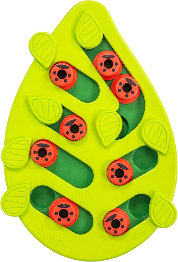 Catstages Nina Ottosson Buggin’ Out Puzzle & Play Cat Toy Treat Puzzle, 14" | Level 2 Intermediate, 16 Hidden Treat Cups, Problem Solving, Interactive Enrichment, Slow Feeder, Indoor Cats & Kittens