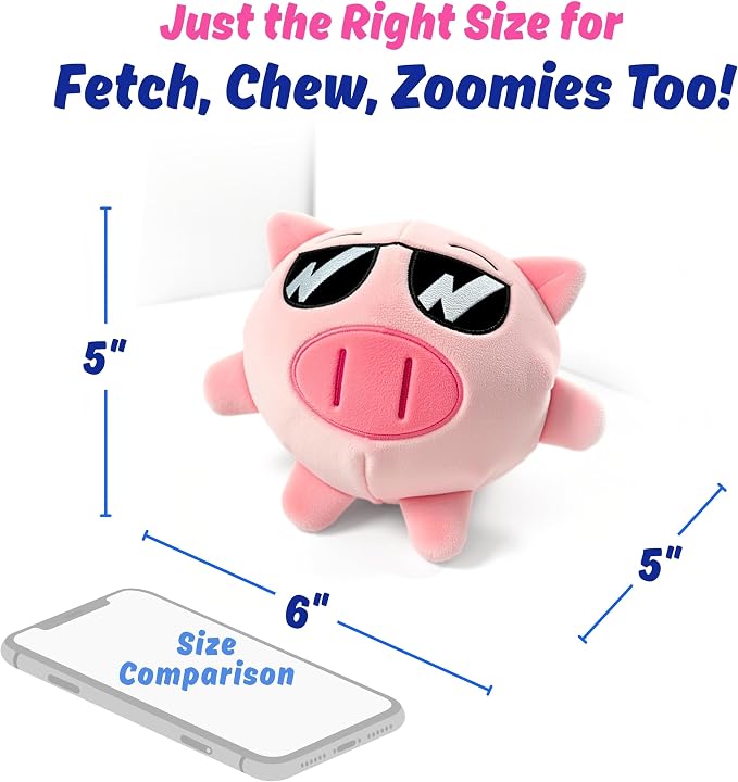 Dog Toy for Aggressive Chewers, Tough Squeaky Chew Ball, Large Breeds Gift