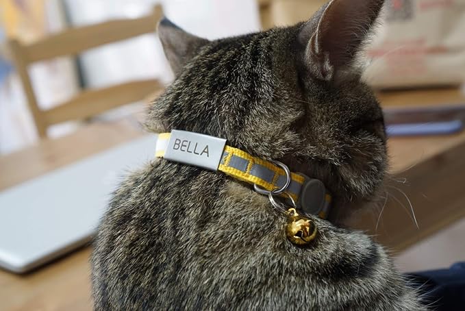 Personalized Breakaway Cat Collar with Bell & ID Tag, Reflection