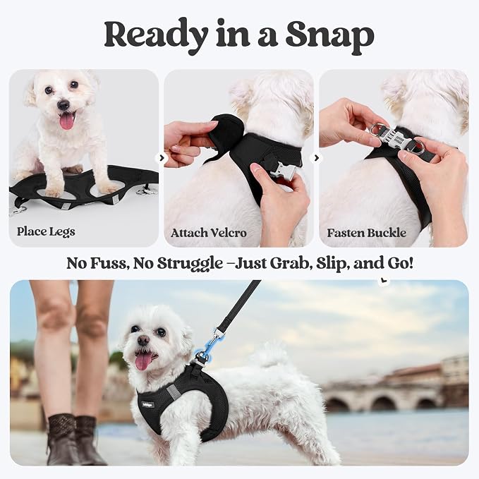rabbitgoo Dog Harness Small Sized and Leash Set, Step-in Puppy Pet Vest | Light, Soft, Breathable Air Mesh, Easy on and Remove with Hook & Loop, Secure Reflective for Walking, Black XS