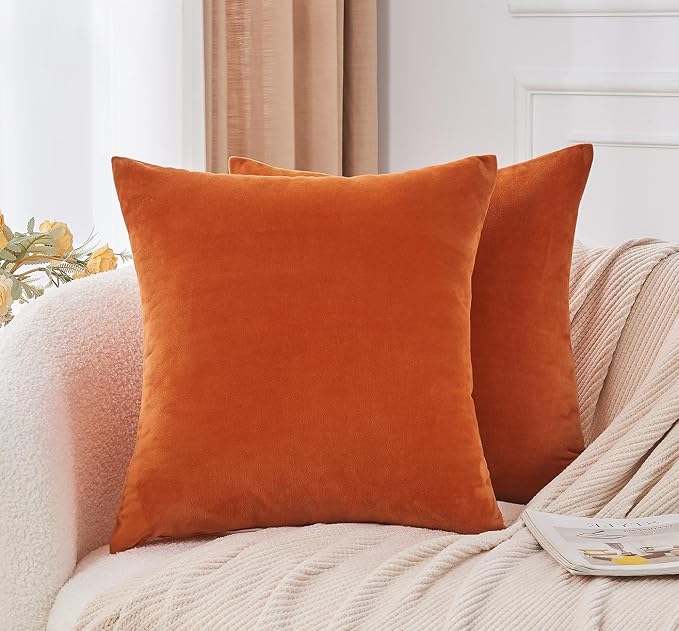 Throw Pillow Covers Set of 2 24x24 Inch Velvet Pillow Covers, Soft Burnt Orange Decorative Covers for Couch Sofa Bed Living Room, Neutral Farmhouse Covers