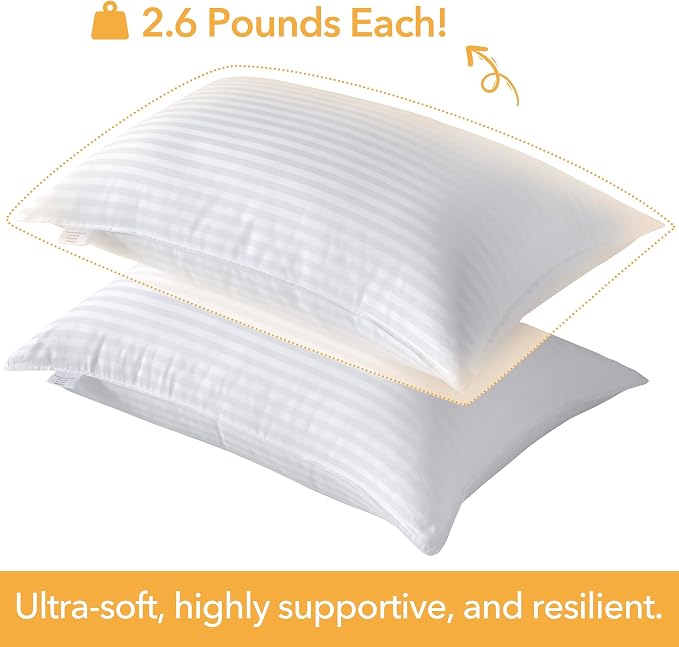 Oubonun Queen Size Pillows Set of 2, 20 x 30 Inch | Fluffy & Supportive Down Alternative Pillows with Zippered Cotton Cover - Breathable and Cool for All Sleeping Positions
