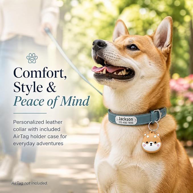 Personalized Genuine Leather Dog Collar with Name Phone Number-Sky Blue-M