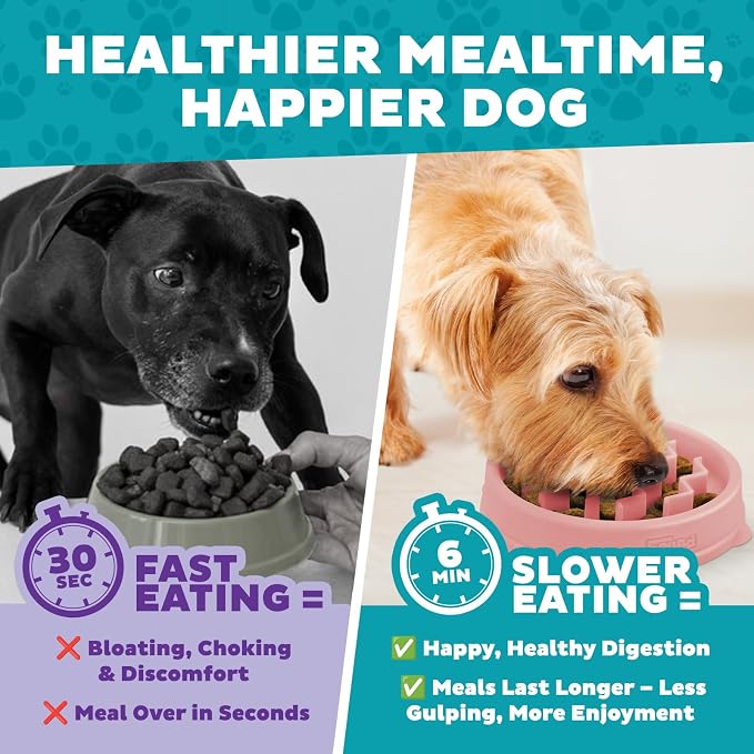 Outward Hound Fun Feeder Slo Bowl – Small 3/4-Cup Capacity,Slow Feeding,Small Dogs,Puppies & Cats,Non-Slip,Pink,Wave Pattern,(Pack of 12)