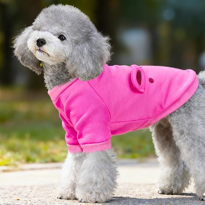 Rose Cute Dog Sweater Soft Winter Clothes for Small Dogs, XL | Classic Rose Knit Pullover, Fall Winter Outfit, Elastic Cuffs, Holiday Party Matching, Machine Washable Sweatshirt for Pets
