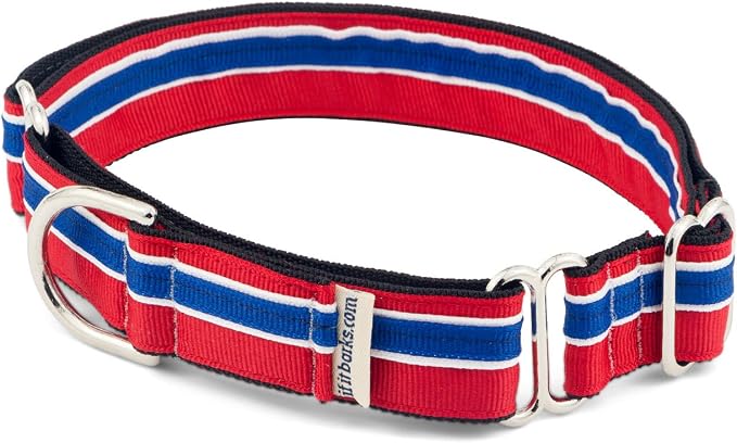 If It Barks 1" Martingale Collar for Dogs, Adjustable Nylon, USA Made, Small, Patriotic