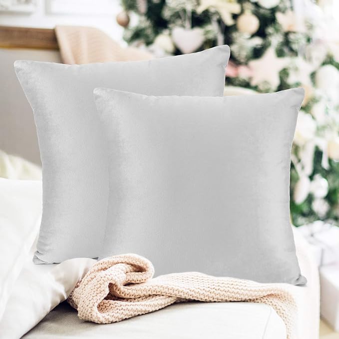 Throw Pillow Inserts Pack of 2 with Velvet Soft Solid Decorative Square Throw Pillow Covers Set for Sofa Couch Car Bedroom, 26X26 Throw Pillows Inserts with 24x24 Washable Cushion Covers, Light Gray