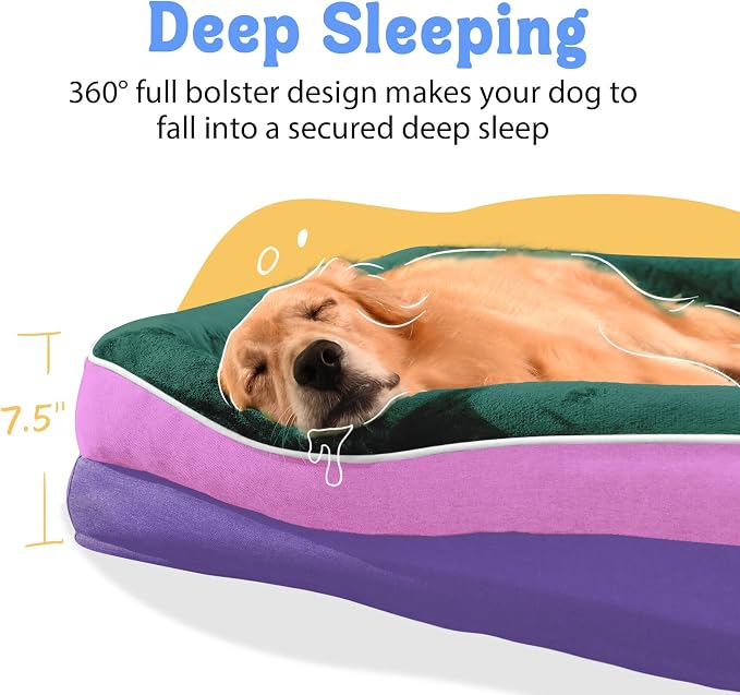 Orthopedic Washable XXL Dog Bed for Extra Large Dogs | Egg Crate Foam, 4-Sided Bolster Support, Waterproof Liner, Non-Slip Bottom, Removable Bolster Cover, 45 x 35 Inch