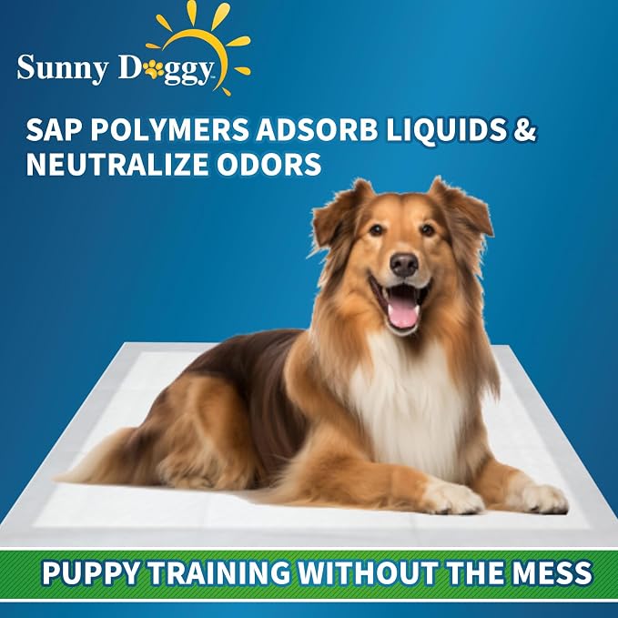 Pee Pads for Dogs, Puppy Pads Pet Training Pads Disposable Upgraded Odor Control, Potty Pads Absorbent and Leak-Proof Dog Housebreaking & Puppy Supplies (36"x36"/10 Count)