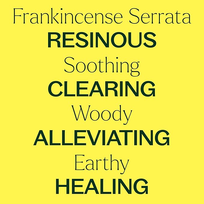 Plant Therapy Frankincense Serrata Essential Oil 100 mL (3.3 oz) 100% Pure, Undiluted, Grounding Aromatherapy and Soothing Skin Care