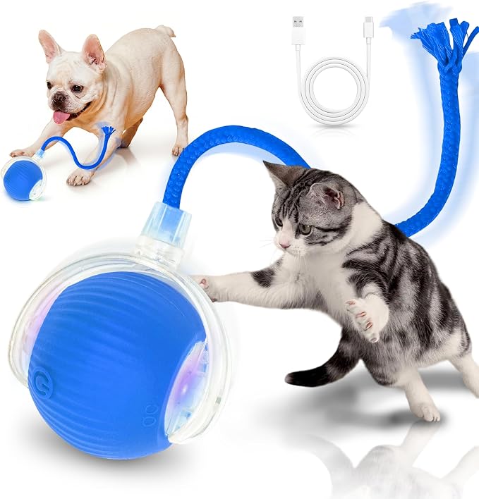 Cat Toys for Indoor Cats Smart Automatic Bal Moving Chase Dogs Toy, Blue | Ball Rolling for Bored Kitten Pet, Upgraded Speedy Moving Chase Dogs Toy