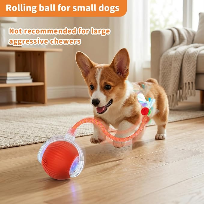 Cat Toys for Indoor Cats Smart Automatic Bal Moving Chase Dogs Toy, Red | Ball Rolling for Bored Kitten Pet, Upgraded Speedy Moving Chase Dogs Toy
