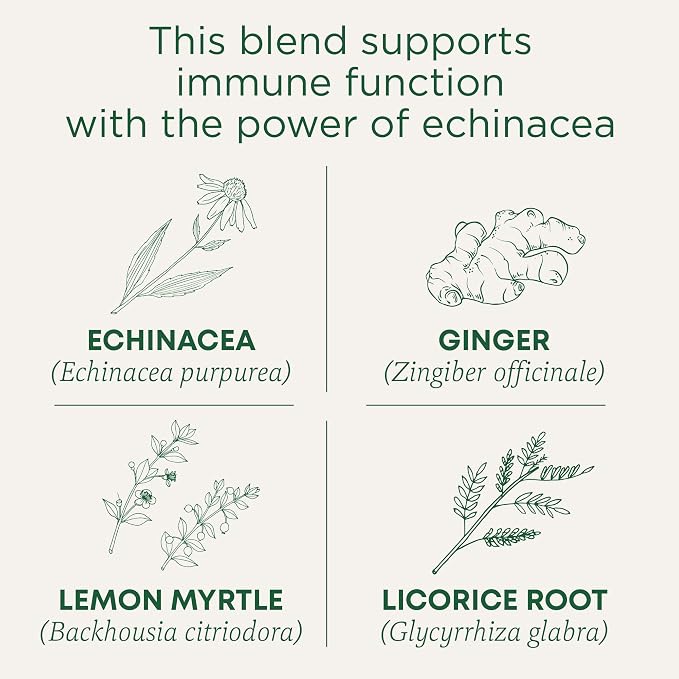 Traditional Medicinals Tea, Organic Immune Zoom Lemon Ginger - Supports Immune Function - Kosher, Non-GMO, Caffeine-Free, Compostable - 48 Tea Bags (3 Pack)