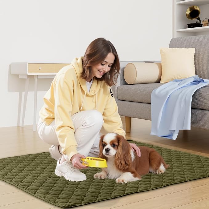 Smiry Waterproof Dog Bed Cover Blanket, Reversible Pet Blanket | Soft Reversible, Washable Leakproof Cats Dogs Couch Cover for Sofa, Couch, Furniture (52x82 Inch)