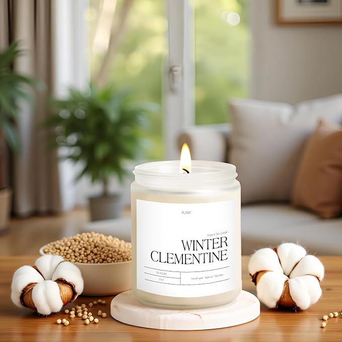 Winter Clementine Scented Candles for Home, 9oz Natural Soy Wax Aromatherapy Organic Citrus Candle for Stress Relief, Long Burning & Lasting Jar Candle Gifts for Christmas, Winter, Holiday