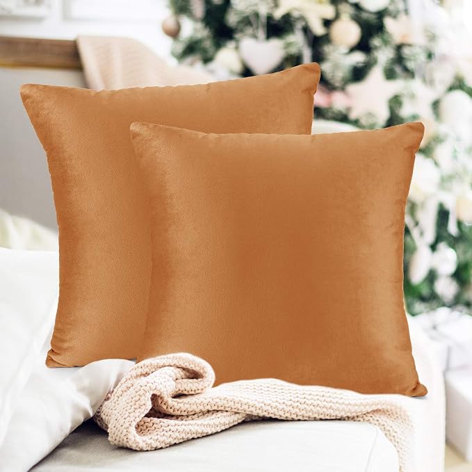 Throw Pillow Inserts Pack of 2 with Velvet Soft Solid Decorative Square Throw Pillow Covers Set for Sofa Couch Car Bedroom, 12X20 Throw Pillows Inserts with 12x18 Washable Cushion Covers, Rust Brown