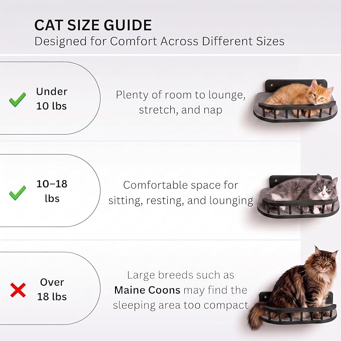 Cat Wall Shelves, Floating Bed with 3 Cat Wall Steps - Black | Pre-Drilled Anchor Kit for Easy Mount, Cozy Spot for Climbing & Play, Indoor Cats up to 18 lbs, Solid FSC Birch Wood