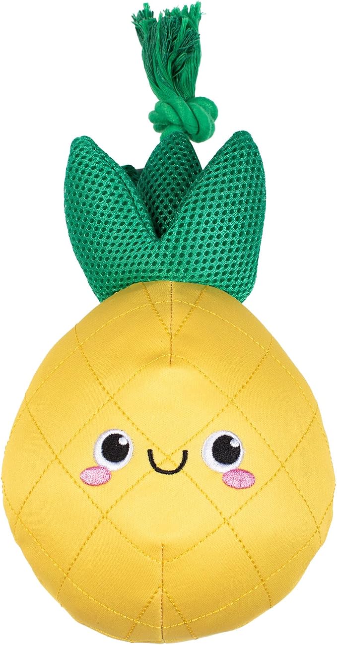 Fringe Studio Floating Dog Toy with Rope The Water is JUST Pine, Pet Shop Collection (640015)