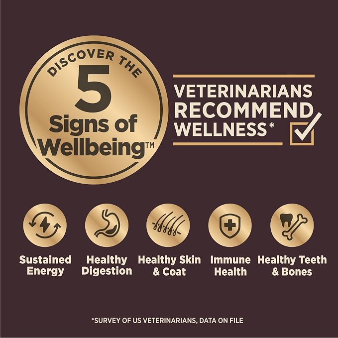 Wellness CORE Digestive Health Small Breed Adult Dry Dog Food, Wholesome Grain Kibble, Sensitive Stomach, Natural, High Protein, Chicken Recipe, 4 lb Bag
