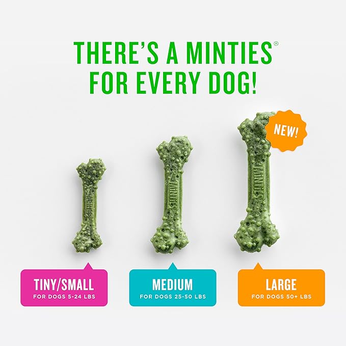 Minties Dental Chews for Dogs, 36 Count, Vet-Recommended Mint-Flavored Dog Treats for Large Breeds Over 50 lbs, Dental Bones Clean Teeth, Fight Bad Breath, Removes Plaque and Tartar | Vet-recommended mint dental bone; scrubs teeth as dogs chew; fights ...