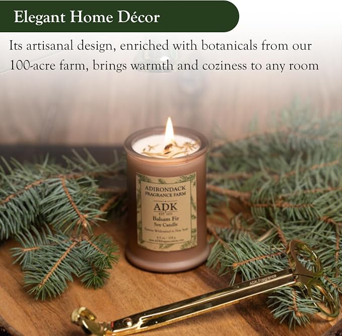Adirondack Fragrance & Flavor Farm Balsam & Fir Scented Candle 20 Oz | Proudly Poured in The USA, Natural Aromatherapy Wax for Relaxation, Home Décor, Kitchen, Gift and Living Spaces