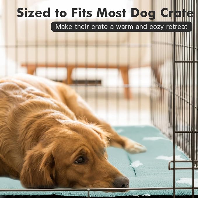 Mora Pets Dog Crate Pad Washable Dog Bed for Crate Flat Cat Pet Kennel Mat | Soft Dog Bed Mat, Crate Pad for Dog Cages Cozy Sleeping Liner, Pet Pillow Cushion Large Puppy Bed Cute Anti Slip Blue 36 x 23