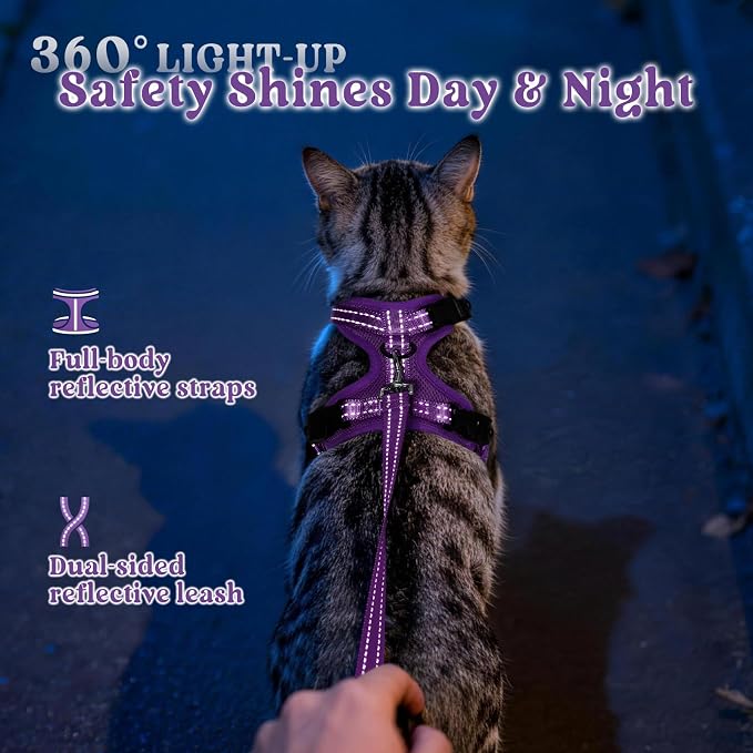 rabbitgoo Cat Harness and Leash, Easy-on with Neck Buckle, Purple
