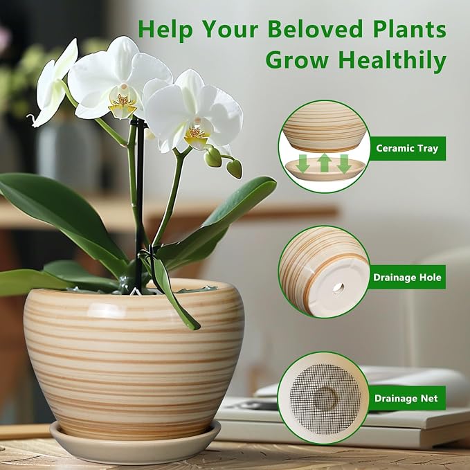 Ceramicfor Planter 8 Inch - Indoor/Outdoor Ceramic Plant Pot With Drainage Hole and Saucer, Round Modern Flower Planter for Succulents, House, Patio - Yellow