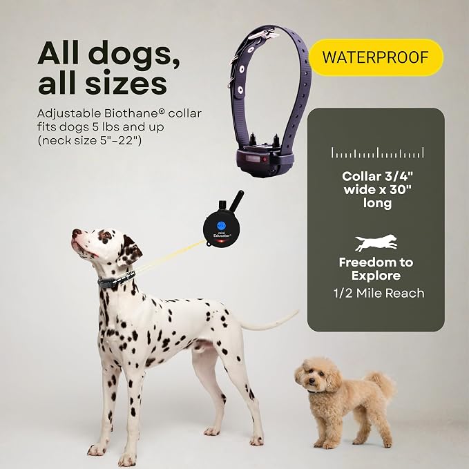 E-Collar ET-300 / ET-302 Dog Training Collar System with Remote - 1/2 Mile Range - Waterproof, Vibration, Sensation - Includes eOutletDeals Pet Towel (1 Dog System - ET-300 Black)