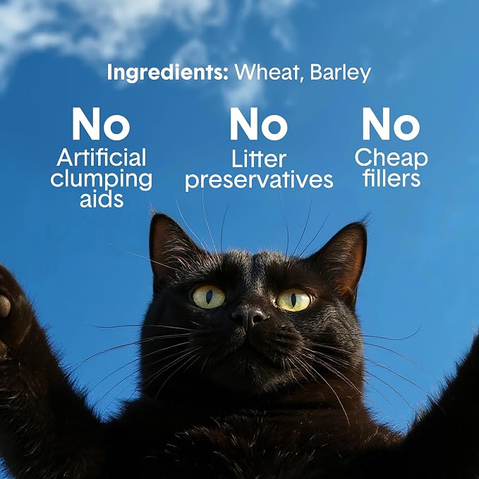 Boxie Unscented Natural Lightweight Cat Litter 30+ Day Odor Control 16.5 lb