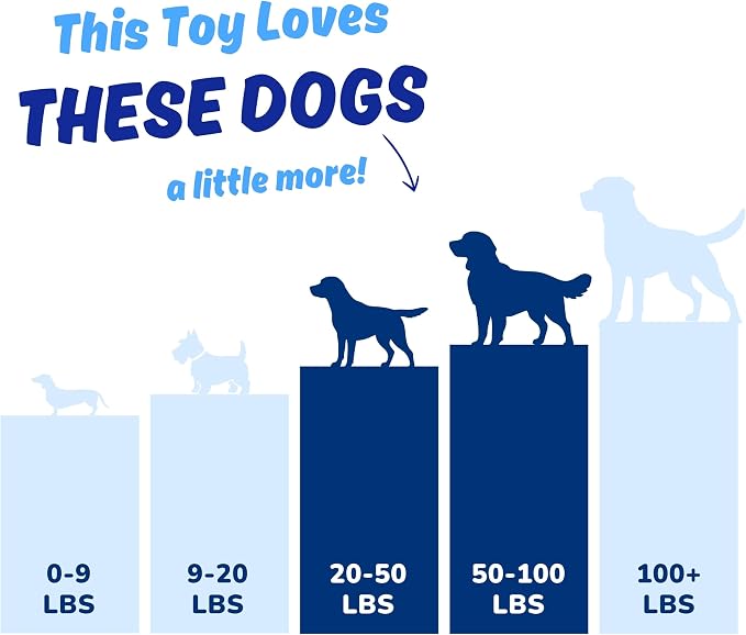 Dog Toy for Aggressive Chewers, Tough Squeaky Chew Ball, Large Breeds Gift