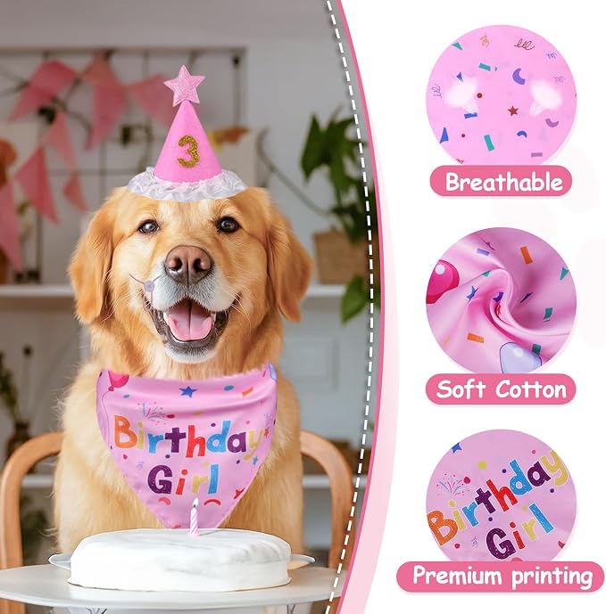 Dog Girl Birthday Party Hat, Dog Birthday Party Supplies | Dog Birthday Bandana Set with Numbers for Gaint and Extra Large Puppy (Pink)