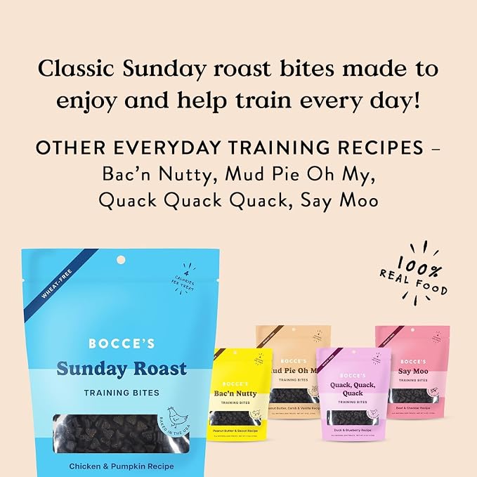 Bocce's Bakery Sunday Roast Flavor Dog Training Treats Bundle (2 Pack) | Chicken & Pumpkin Recipe Oven Baked, Wheat-Free Everyday Dog Treat Cookies - Made with Real, Limited Ingredients in The USA
