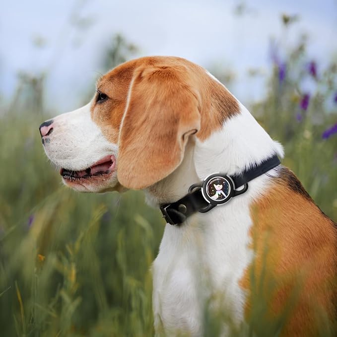 Waterproof AirTag Holder for Dog Collar, Soft Slide-On Dog AirTag Holder | Full-Body Protection, No-Dangle Fit, Ultra-Durable, Lightweight, Tool-Free Installation, Fits Dog & Cat Collars