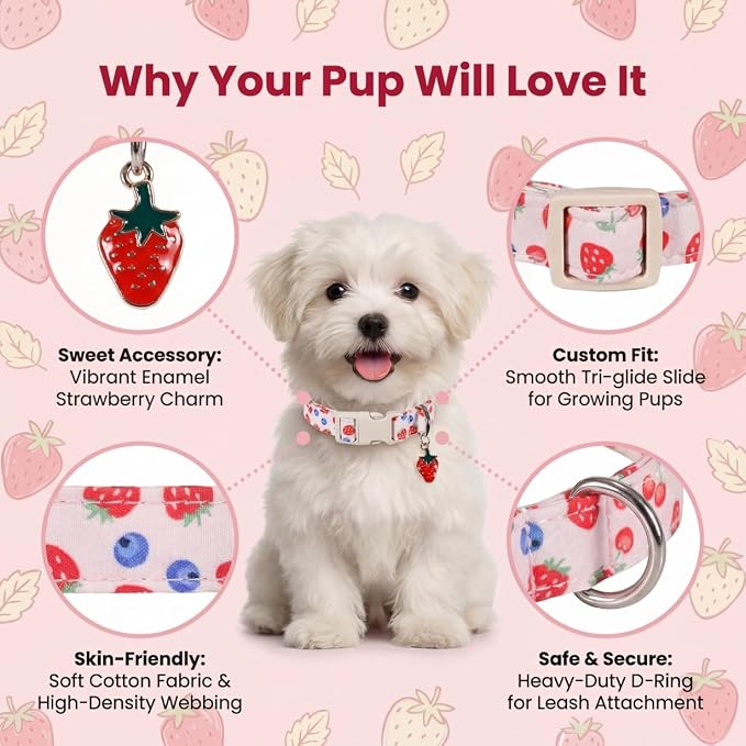Pink Dog Collar, Girl Dog Collar for Small Dogs, Spring Summer Puppy Collar with Cute Strawberry, Cherry and Blueberry Print, Soft Adjustable Collars for Girls Boys Dogs, S