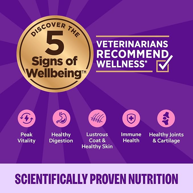Wellness Complete Health Gravies Adult Canned Wet Cat Food, Natural, Protein Rich, Grain Free, Salmon Entrée Recipe, 5.5 oz, Pack of 12 Cans