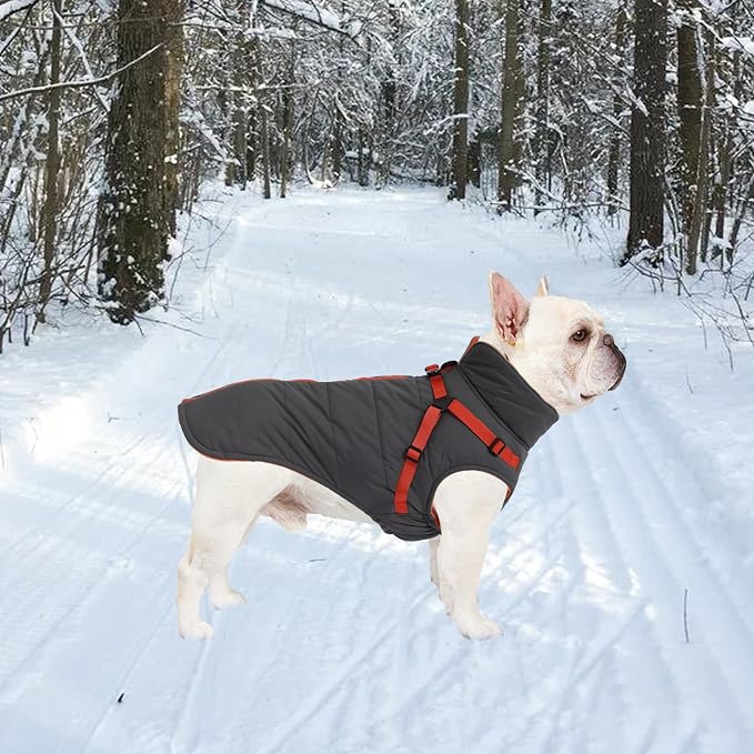 Geyecete Winter Warm Coat Waterproof Dog Winter Jacket with Harness Traction Belt,Windproof Pet Outdoor Jacket Dog Autumn-Gray-XXL