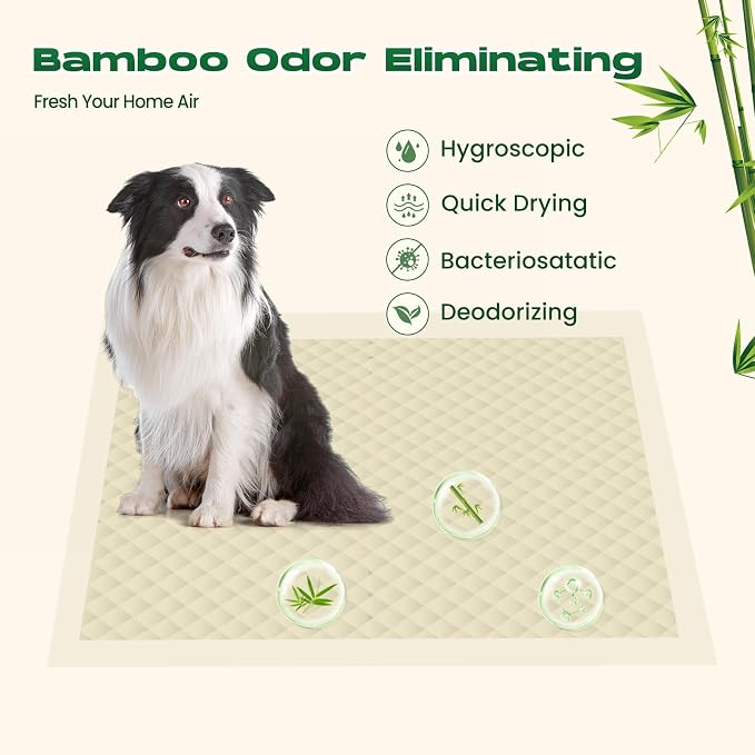 Bamboo Small Puppy Pads Pee Pads for Dogs 22"x22" 30 Count | Training Pads Deodorizing Leakproof Quick Drying Dog Pee Pads Super Absorbent Disposable Puppies