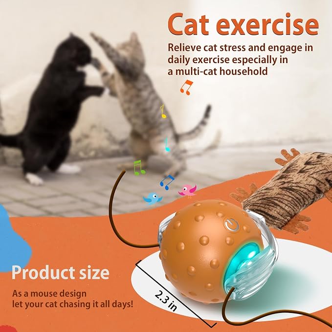 Oxawo Cat Toys Interactive Self Rolling Cat Balls Mouse